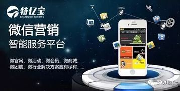 特億寶榮膺“優(yōu)秀電子商務(wù)服務(wù)商”獎(jiǎng)項(xiàng)，彰顯電商賦能新高度